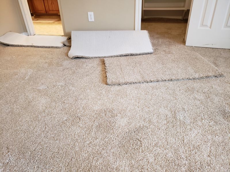 Residential Carpet Repair in Littleton, CO